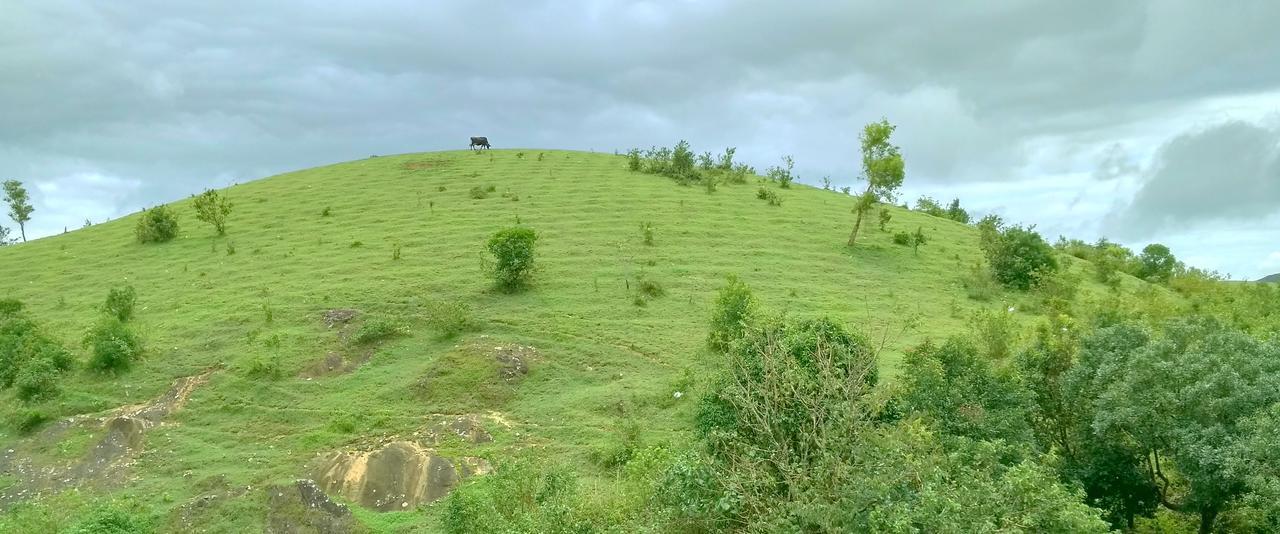 Vagamon Clouds Hotel Ngoại thất bức ảnh